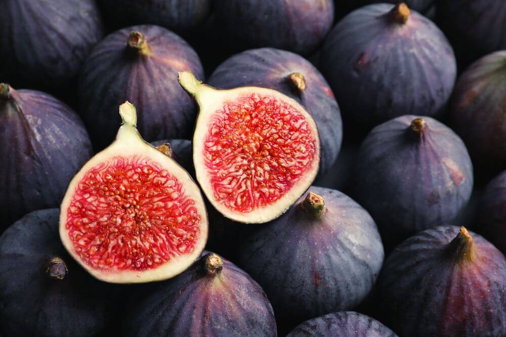 What Are Figs?