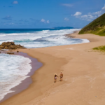 Discovering St Lucia, South Africa: Top Experiences in a Coastal Haven